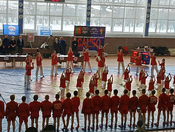 МКУ «КДЦ» приняли участие в торжественной церемонии открытия престижных соревнований - IX Всероссийского турнира по борьбе самбо памяти председателя Воронежской областной Думы Ю. Т. Титова, который традиционно проходил в Физкультурно-оздоровительном компл
