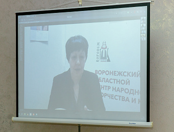 участие в областном вебинаре "Статистическая отчетность"
